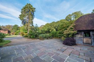 Photo 11- click for photo gallery